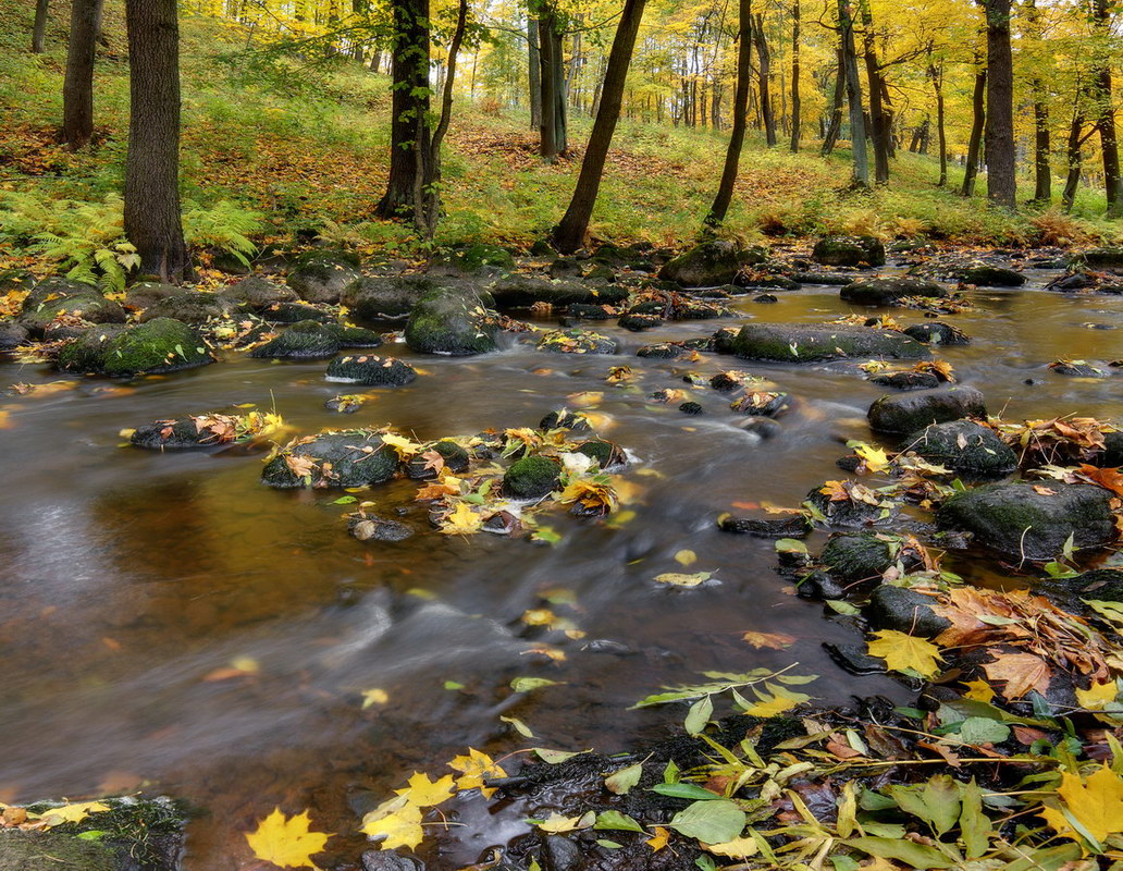 photo "***" tags: landscape, nature, autumn, park, ГМЗ Петергоф, Ленинградская обл, Ломоносов, ораниенбаум, пейзаж, ручей