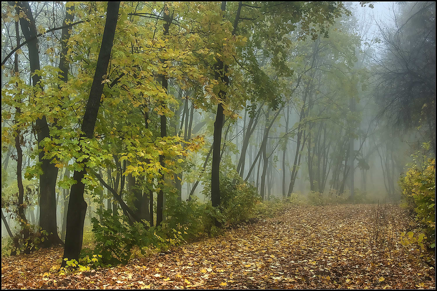 photo "***" tags: landscape, 