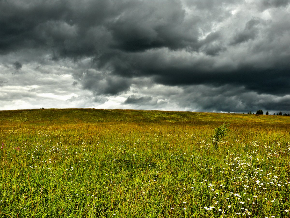 photo "***" tags: landscape, nature, clouds, forest, summer