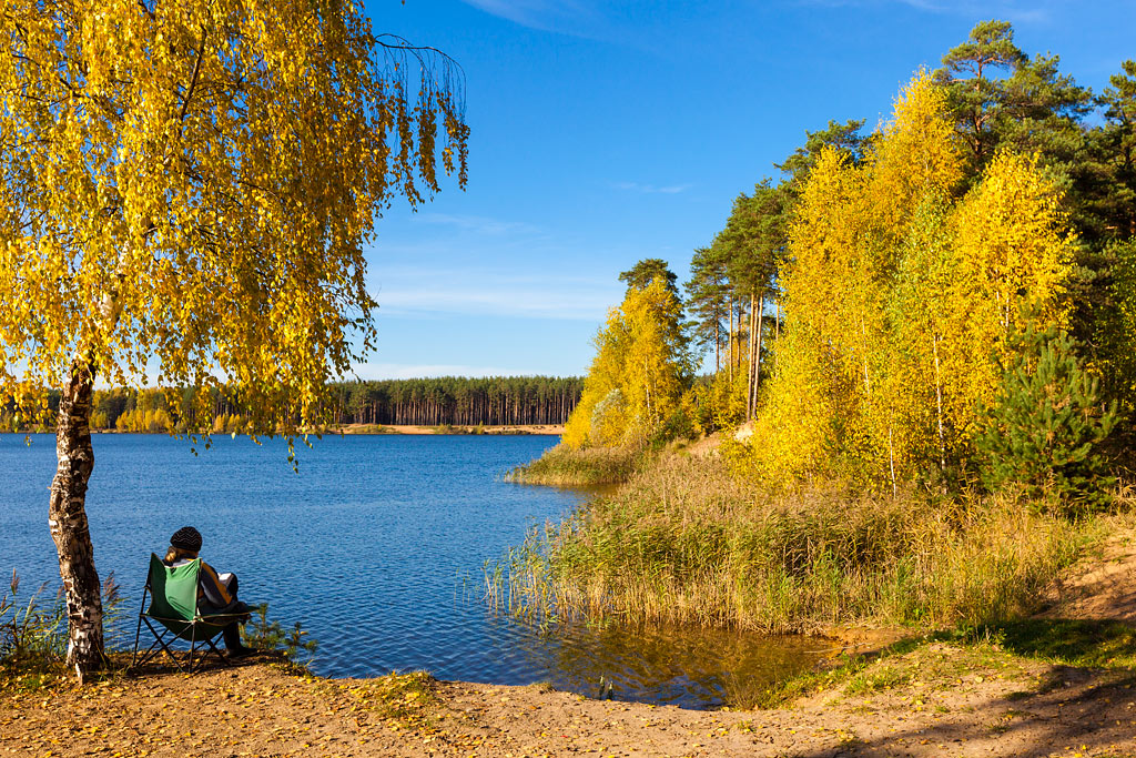 фото "Золотая осень" метки: пейзаж, 