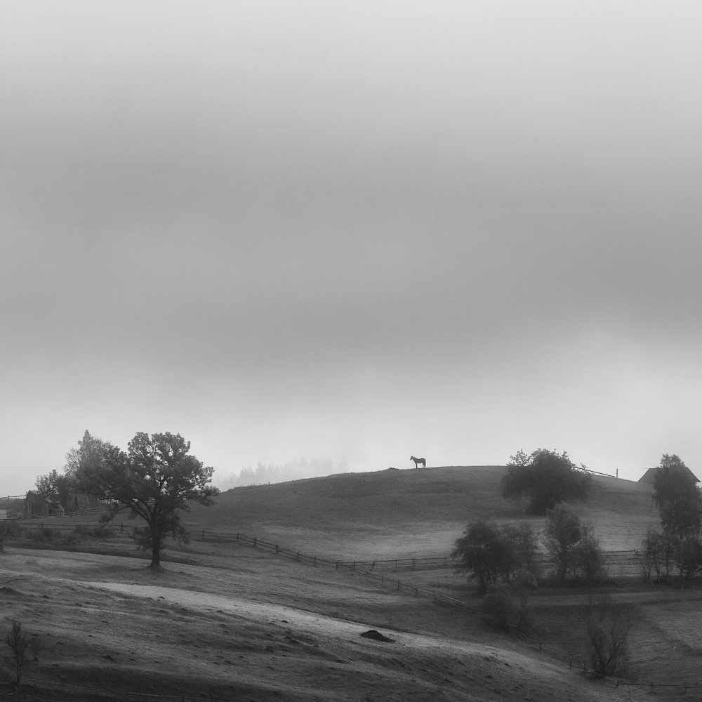 photo "***" tags: landscape, nature, black&white, fog, morning, mountains, Карпаты, домик