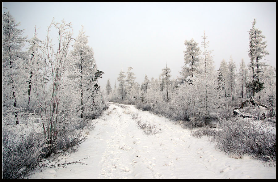 photo "***" tags: landscape, road, taiga, winter