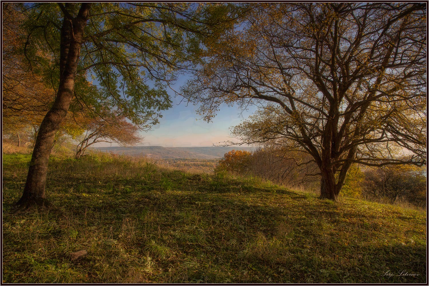 photo "***" tags: landscape, autumn, forest, вечер...