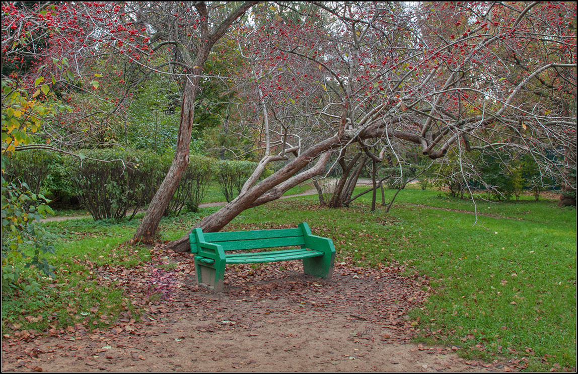 photo "in the old park" tags: landscape, city, 