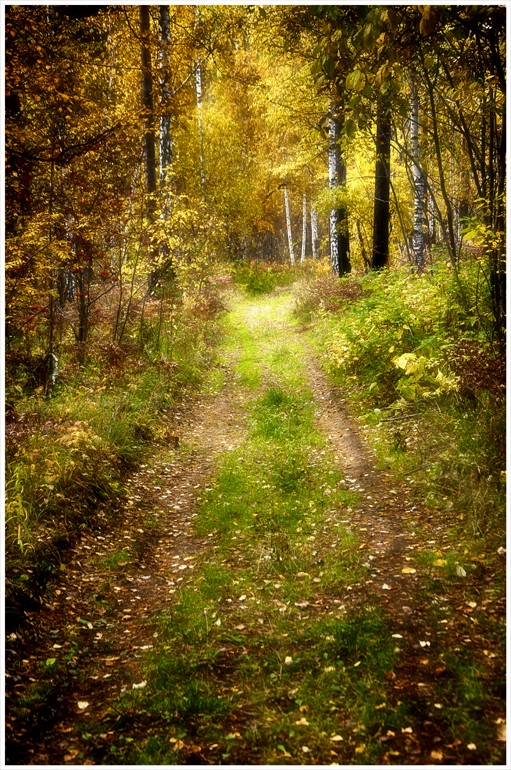 фото "Осений Свет" метки: пейзаж, разное, осень