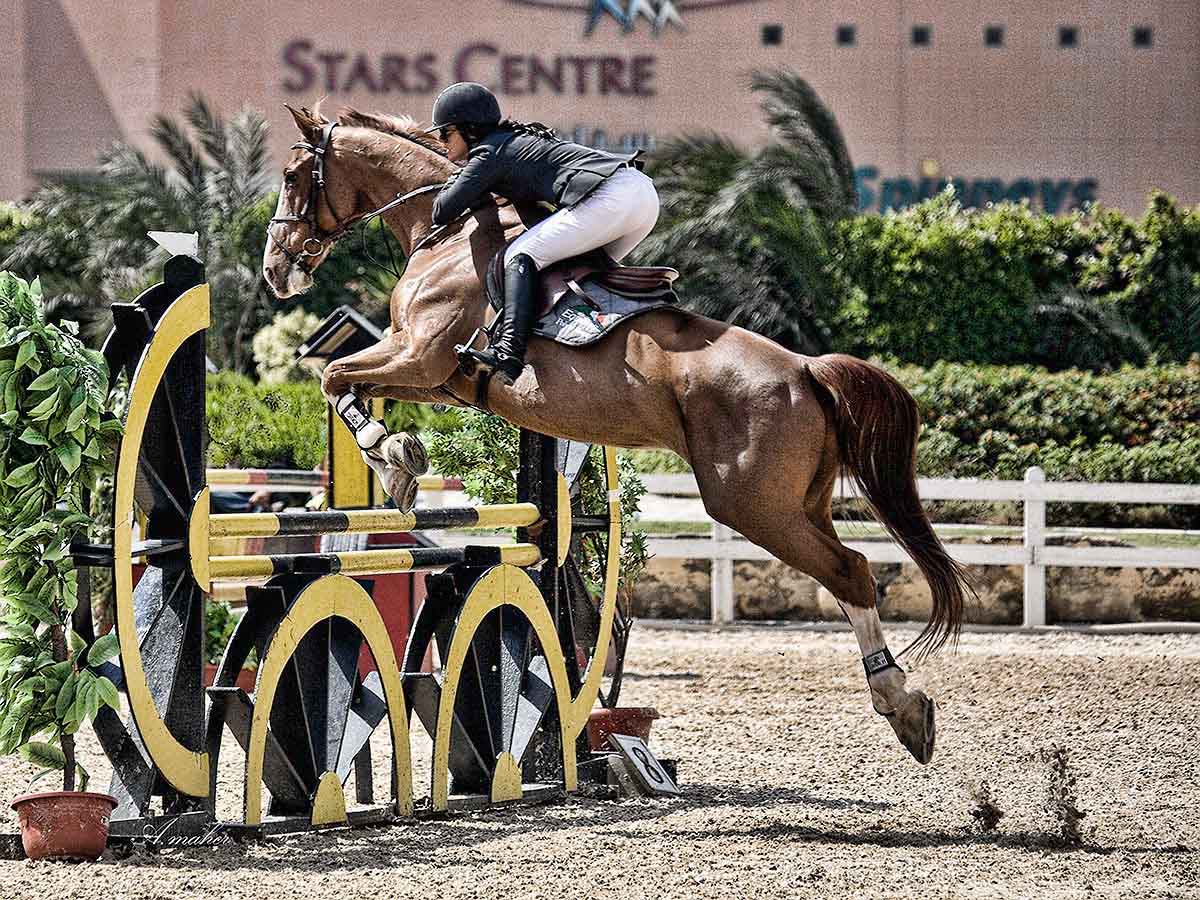 фото "SHOW JUMP # 2" метки: спорт, Horses