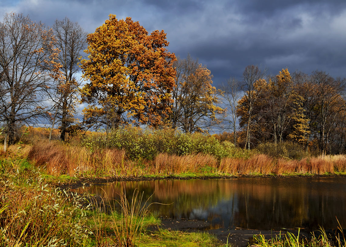 фото "***" метки: пейзаж, вода, деревья, небо, облака, осень