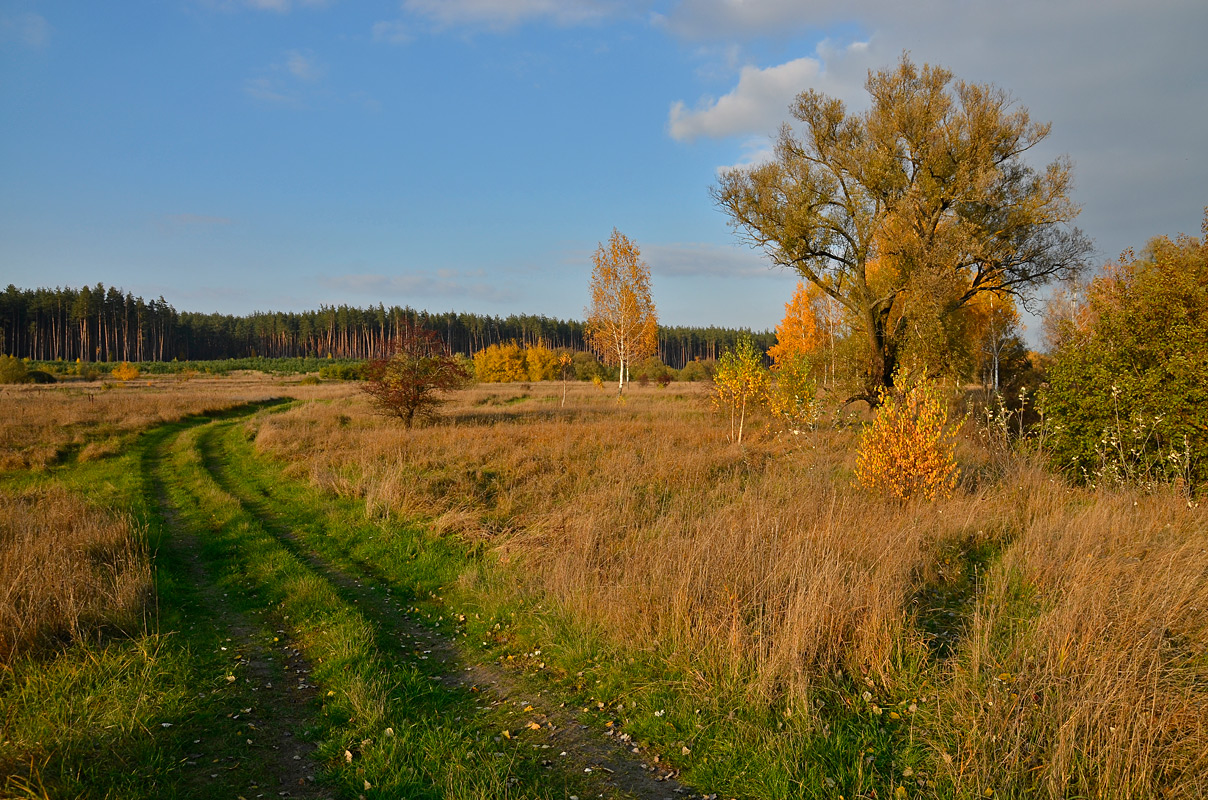 photo "***" tags: landscape, nature, 