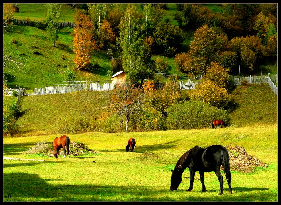 photo "Relaxation in nature" tags: nature, landscape, 