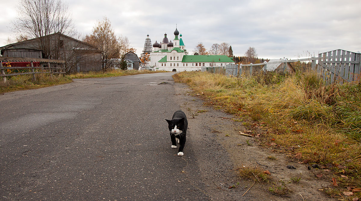 фото "Со службы" метки: архитектура, пейзаж, путешествия, монастырь, осень, путешествие, церковь