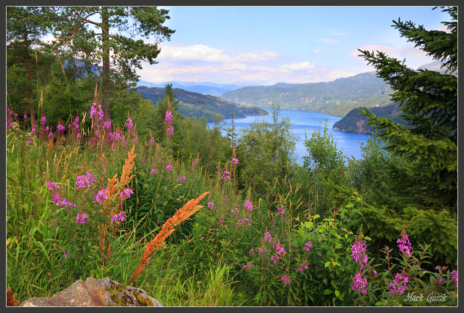 photo "Sognefjorden" tags: landscape, 