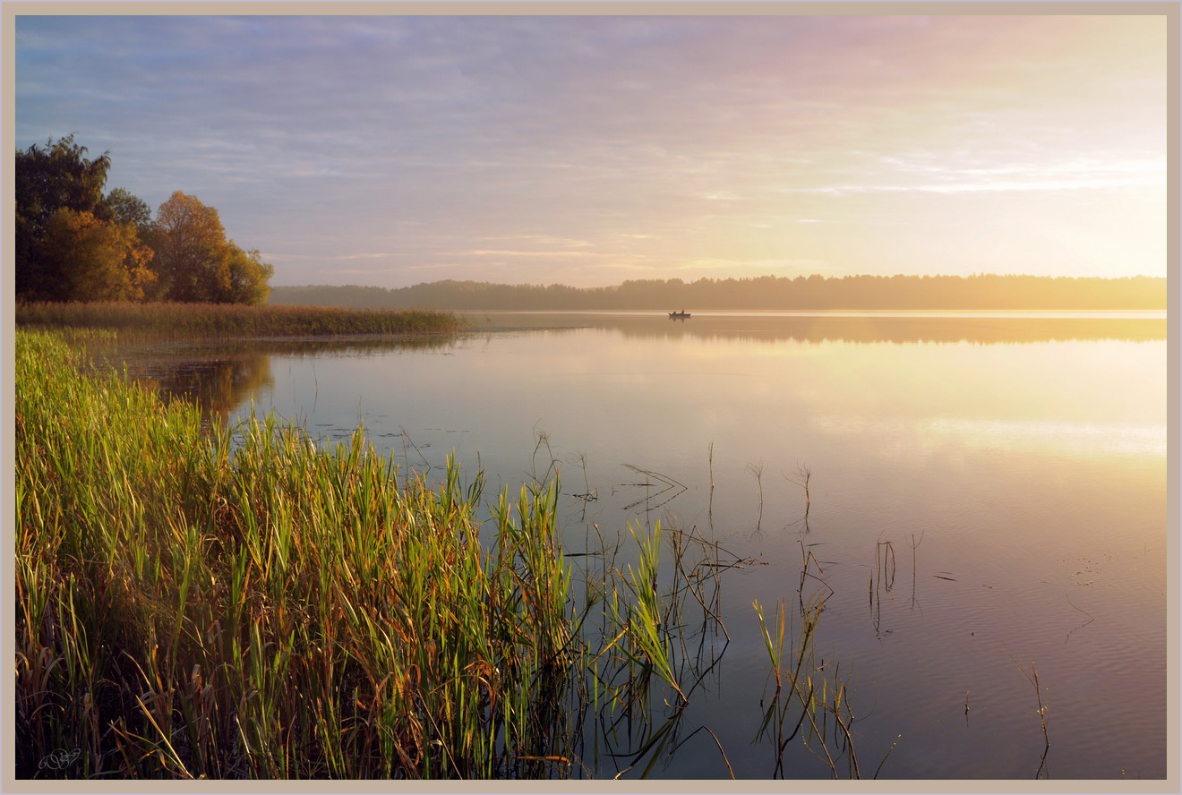 photo "***" tags: landscape, nature, autumn, lake, morning, water, Вологодчина, Восход, заря