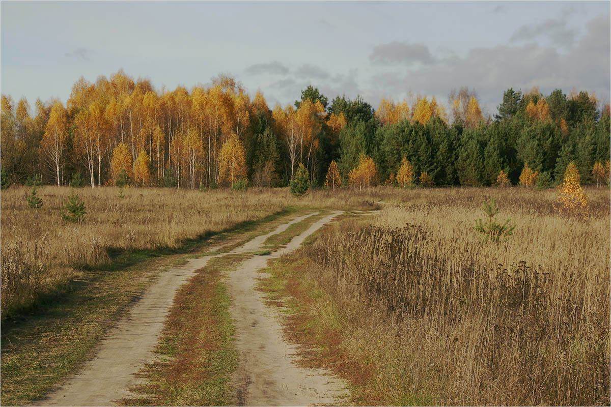 фото "12 октября 2013" метки: пейзаж, 