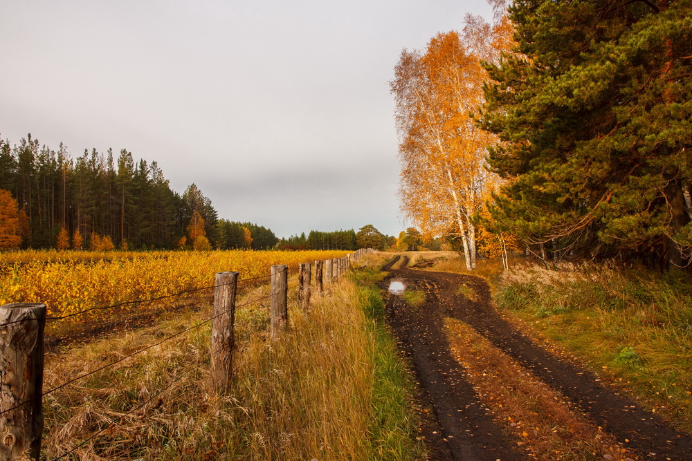 photo "***" tags: landscape, 