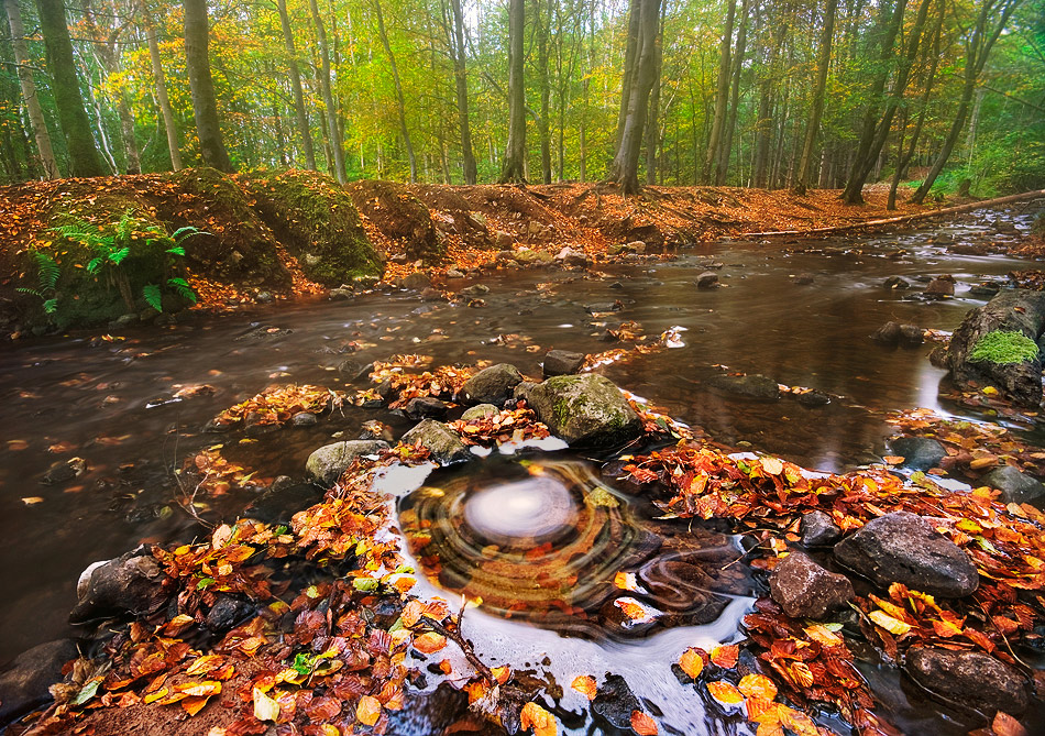 photo "Autumn swirl" tags: landscape, 