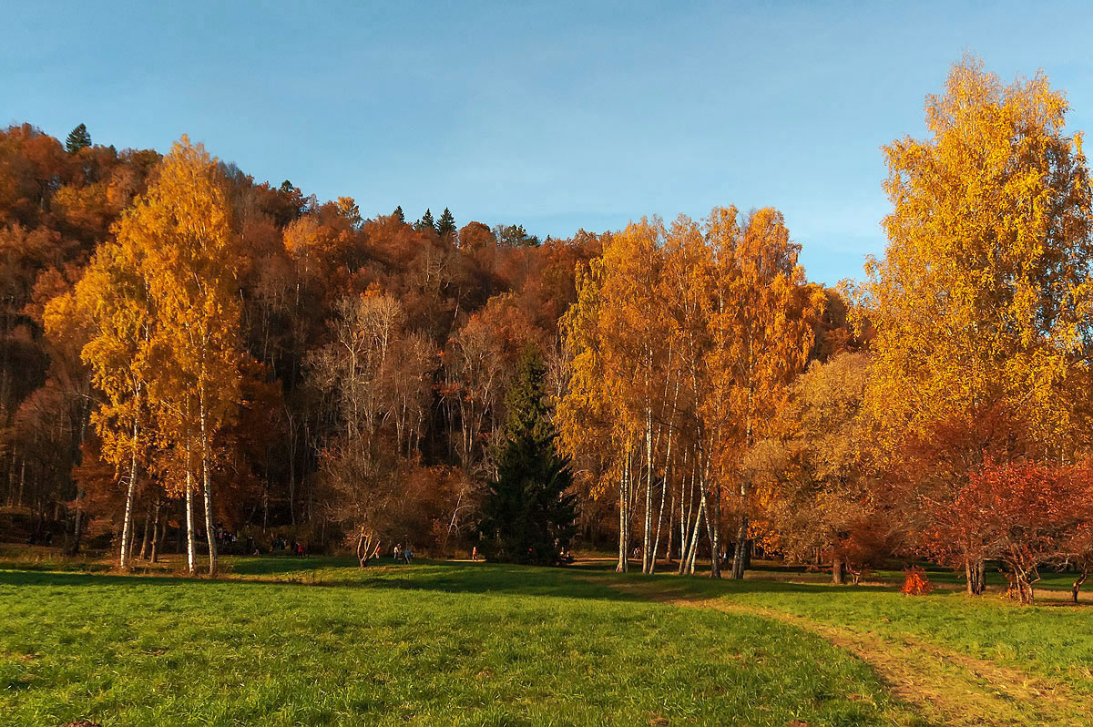фото "Осень..." метки: пейзаж, природа, деревья, небо, осень
