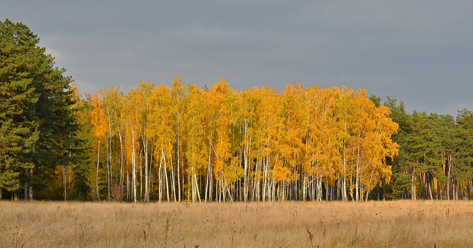 photo "***" tags: landscape, nature, 