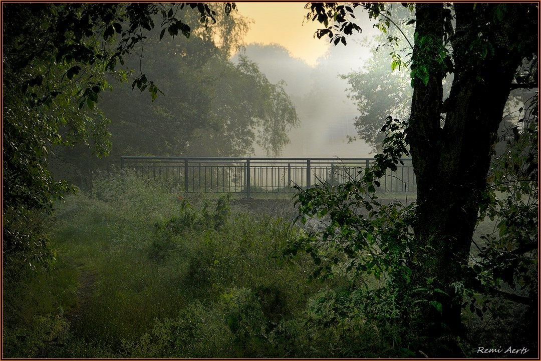 photo "***" tags: landscape, nature, street, fog, summer, sunrise