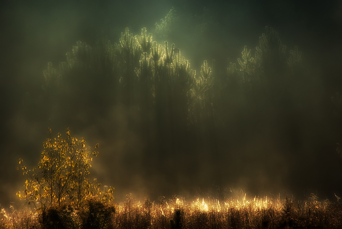 photo "Rain of light" tags: , 