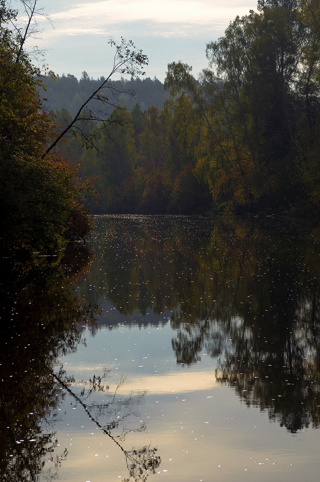 фото "река Тагил" метки: пейзаж, путешествия, природа, Нижний Тагил, вода, лес, облака, осень