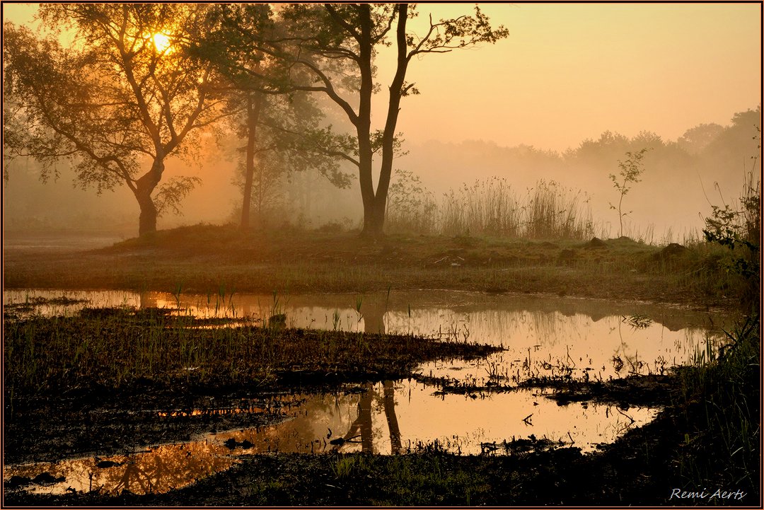 photo "***" tags: landscape, nature, fog, summer, sunrise