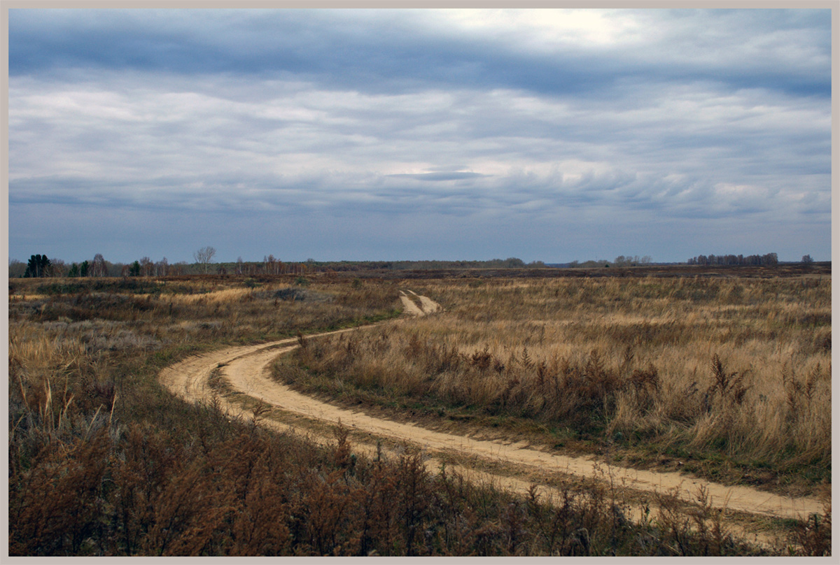 photo "Field road." tags: landscape, autumn, field, road, пасмурно