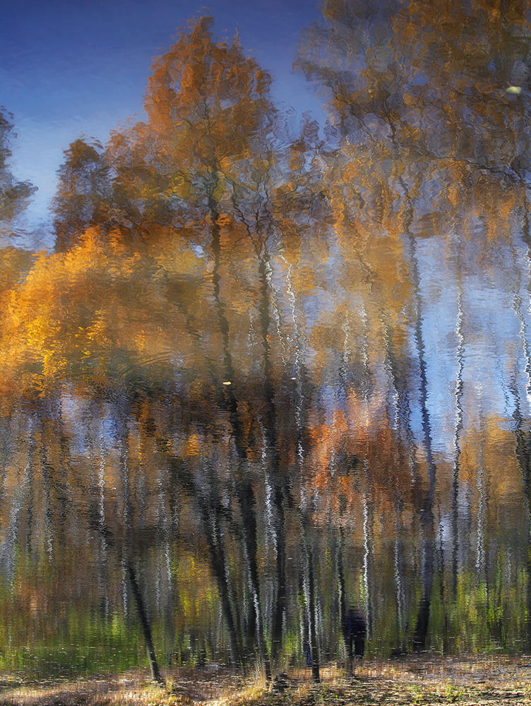 фото "Импрессио Осени..." метки: пейзаж, абстракция, лес, осень, отражение