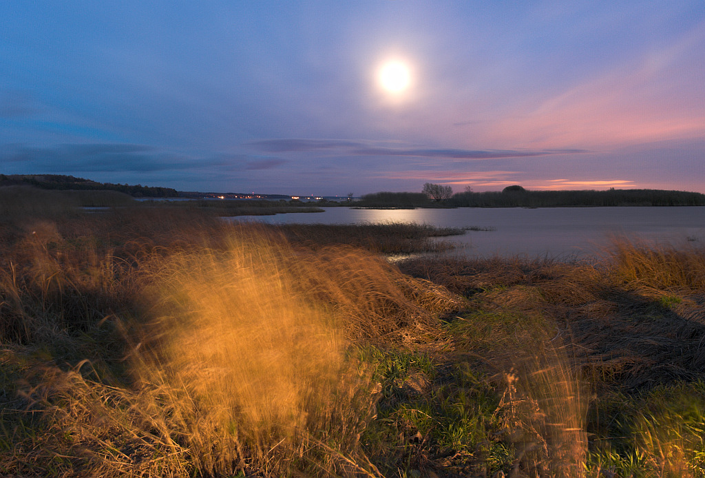 photo "***" tags: landscape, night, Финский залив, длинная выдержка, контровой свет, полнолуние