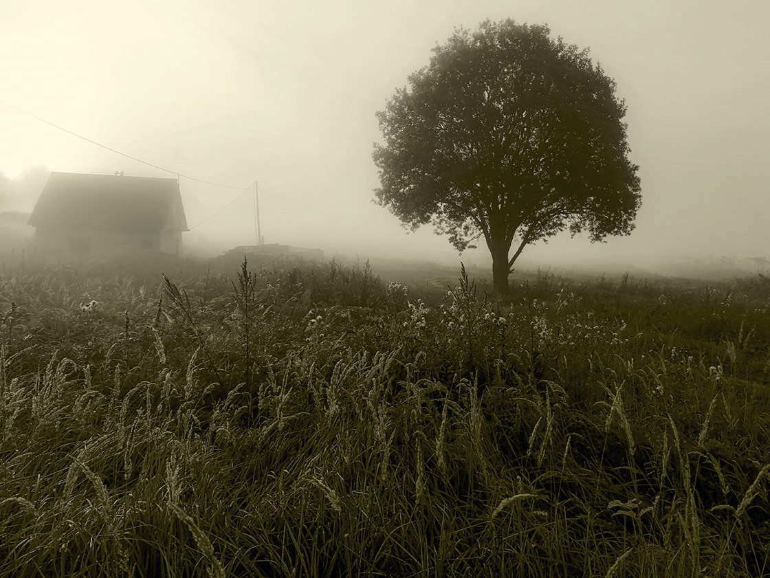 photo "***" tags: landscape, black&white, fog, sunrise, домик