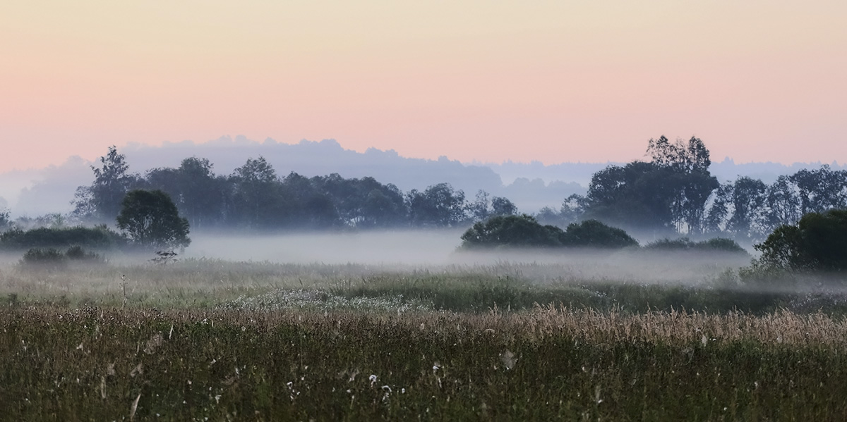 photo "***" tags: panoramic, landscape, fog, morning, summer, долина