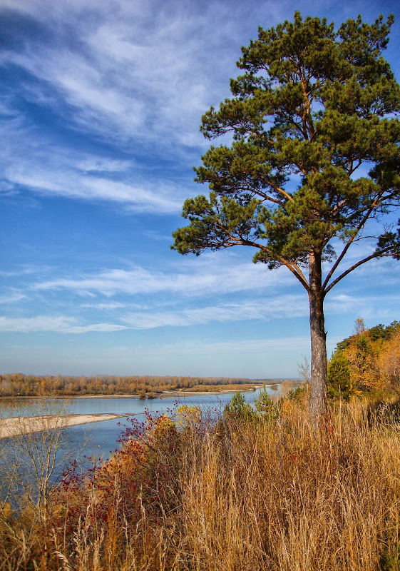 photo "On the slope" tags: landscape, 