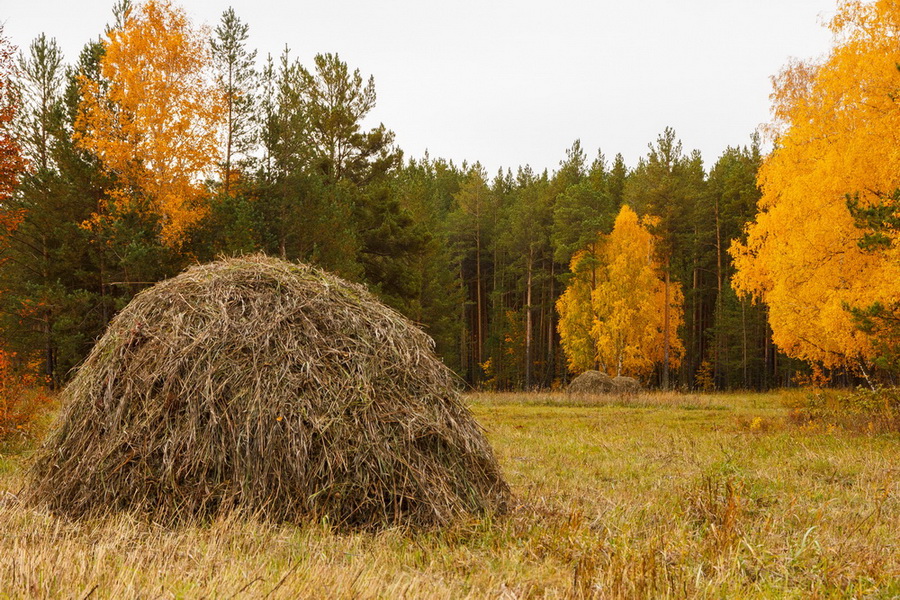 photo "***" tags: landscape, 