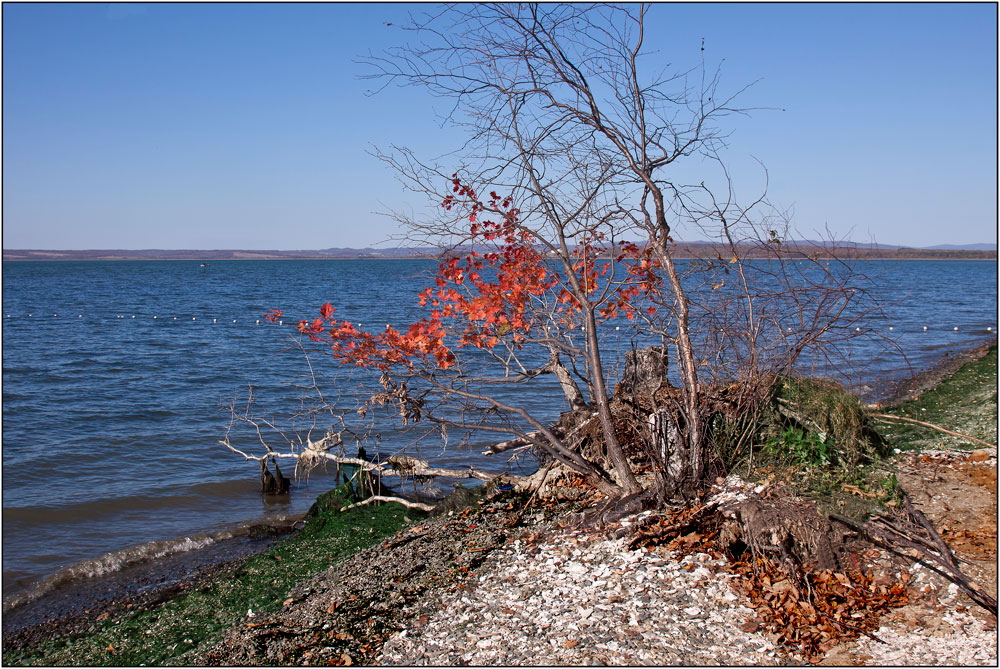 фото "Приморская осень" метки: пейзаж, природа, краски., море, осень
