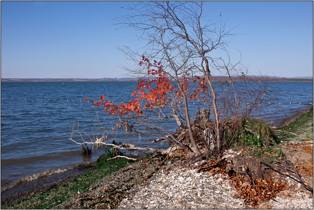 photo "***" tags: landscape, nature, autumn, sea, краски.