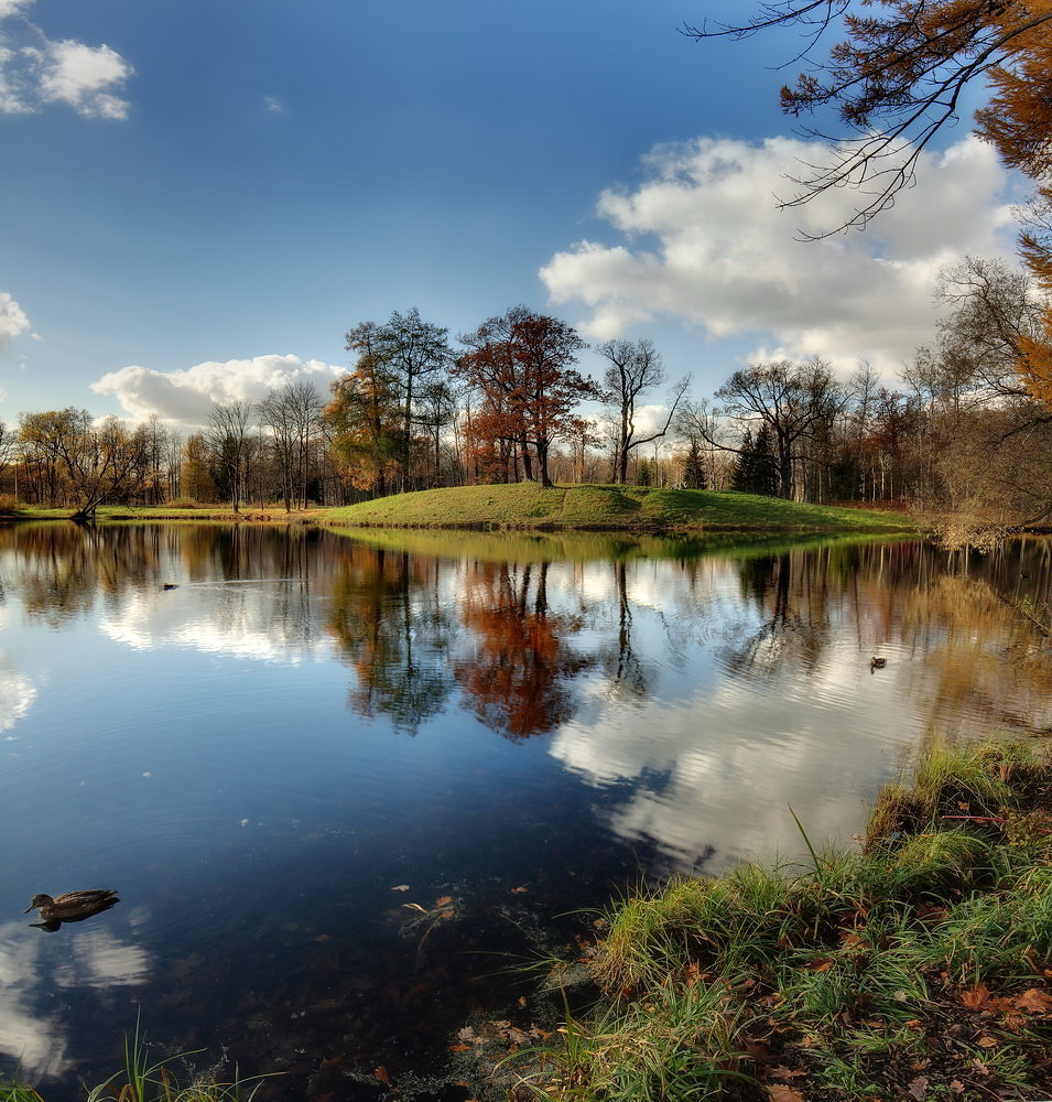 photo "***" tags: landscape, nature, panoramic, autumn, forest, park, Александровский парк, ГМЗ Царское село, Ленинградская обл