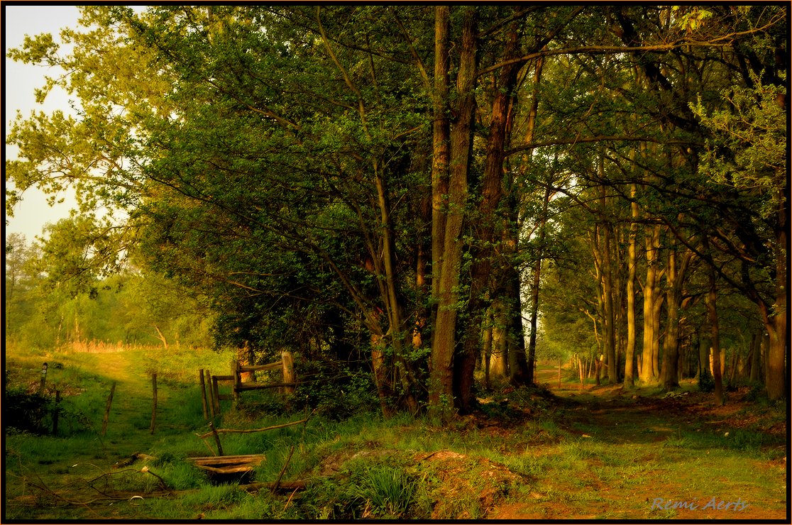 photo "***" tags: landscape, nature, 