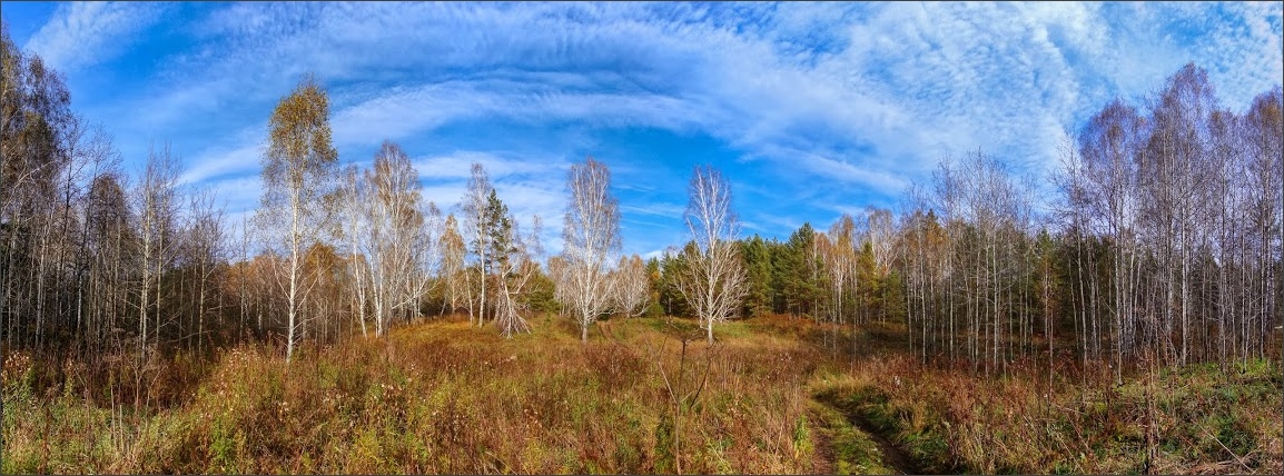 фото "Панорама" метки: пейзаж, лес, небо, облака, осень