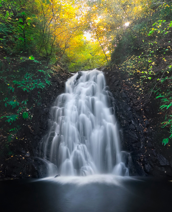 photo "Water Queen" tags: landscape, 