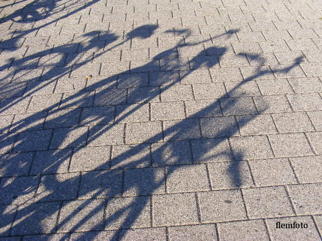 photo "Shadow" tags: city, Europe