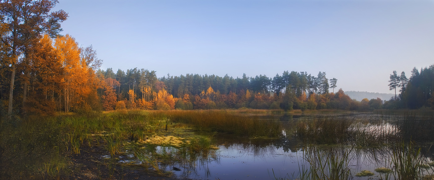 фото "Дунула осень....." метки: , 