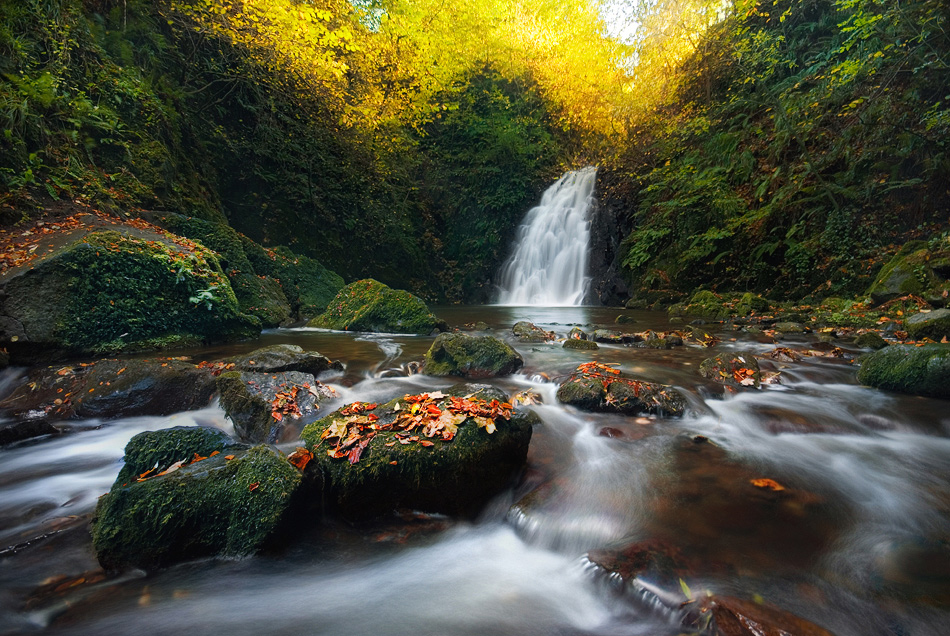 фото "Water Queen II" метки: пейзаж, 