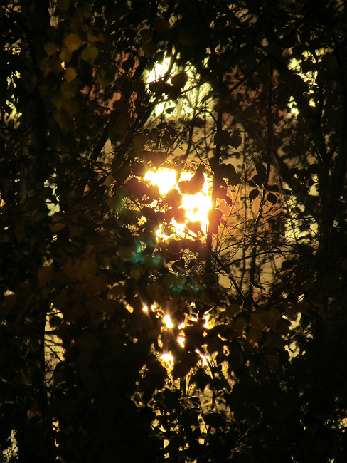 photo "sunrise" tags: landscape, abstract, misc., autumn