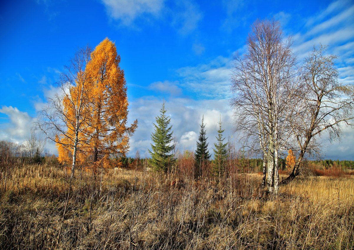 фото "осенняя" метки: пейзаж, природа, осень
