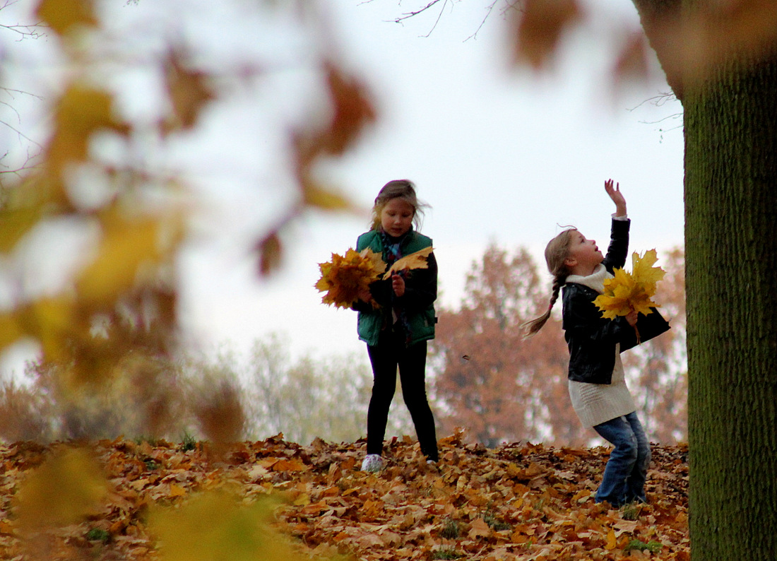 photo "I would like to get one more leaf..." tags: street, nature, genre, 