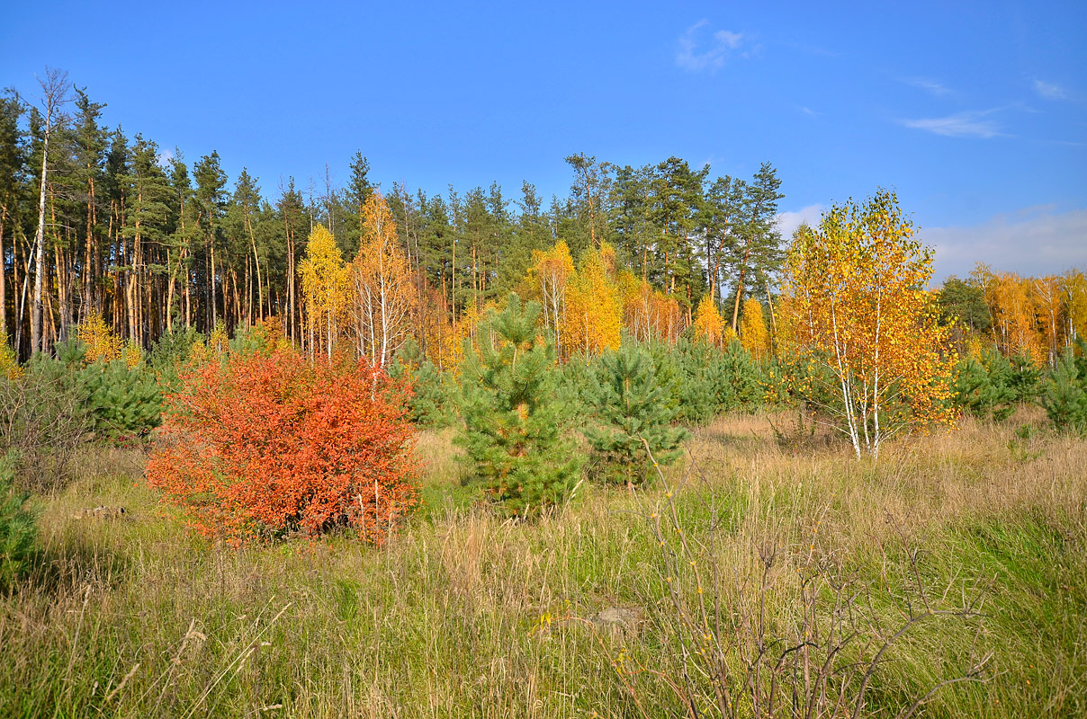 photo "***" tags: landscape, nature, 