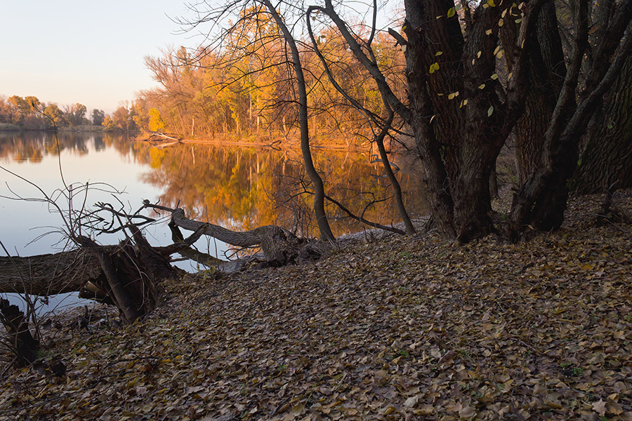 фото "Осень" метки: пейзаж, Днепр, Запорожье, Украина, берег, бревно, залив, октябрь