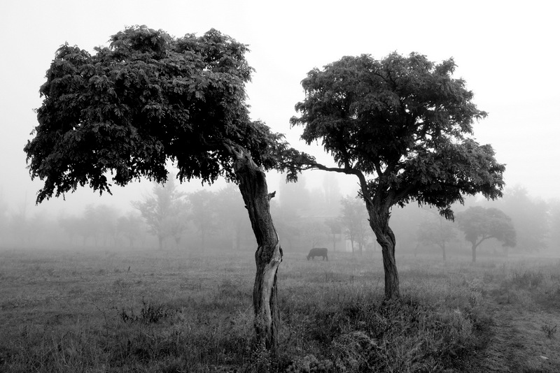 photo "***" tags: landscape, black&white, nature, 