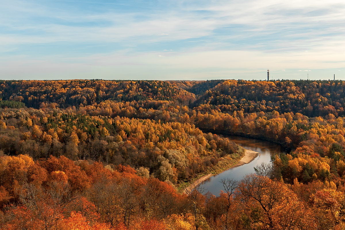 photo "***" tags: landscape, autumn, forest, sky, water, деревья