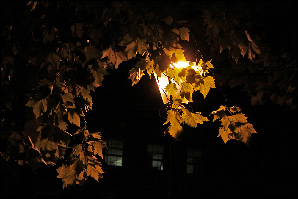 photo "***" tags: street, autumn, evening