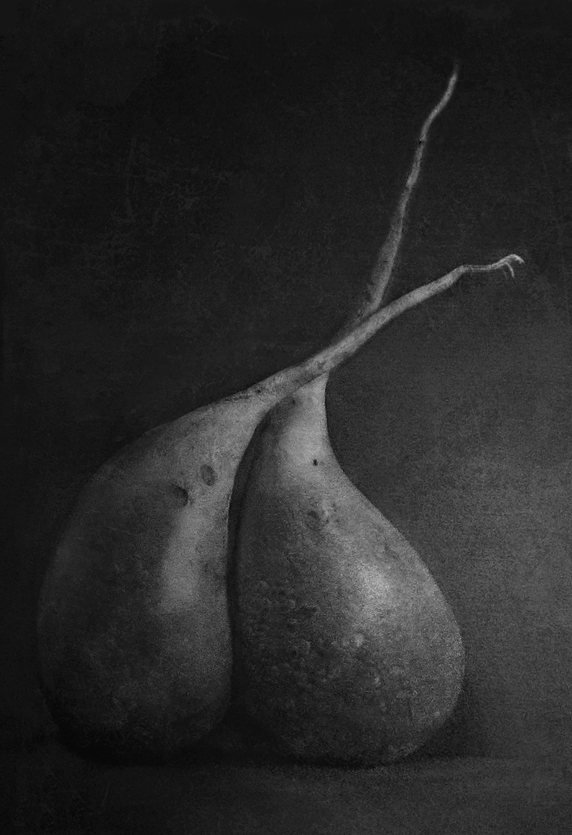 photo "***" tags: still life, black&white, 